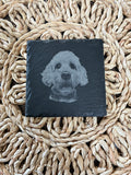 Personalised Pet Coaster