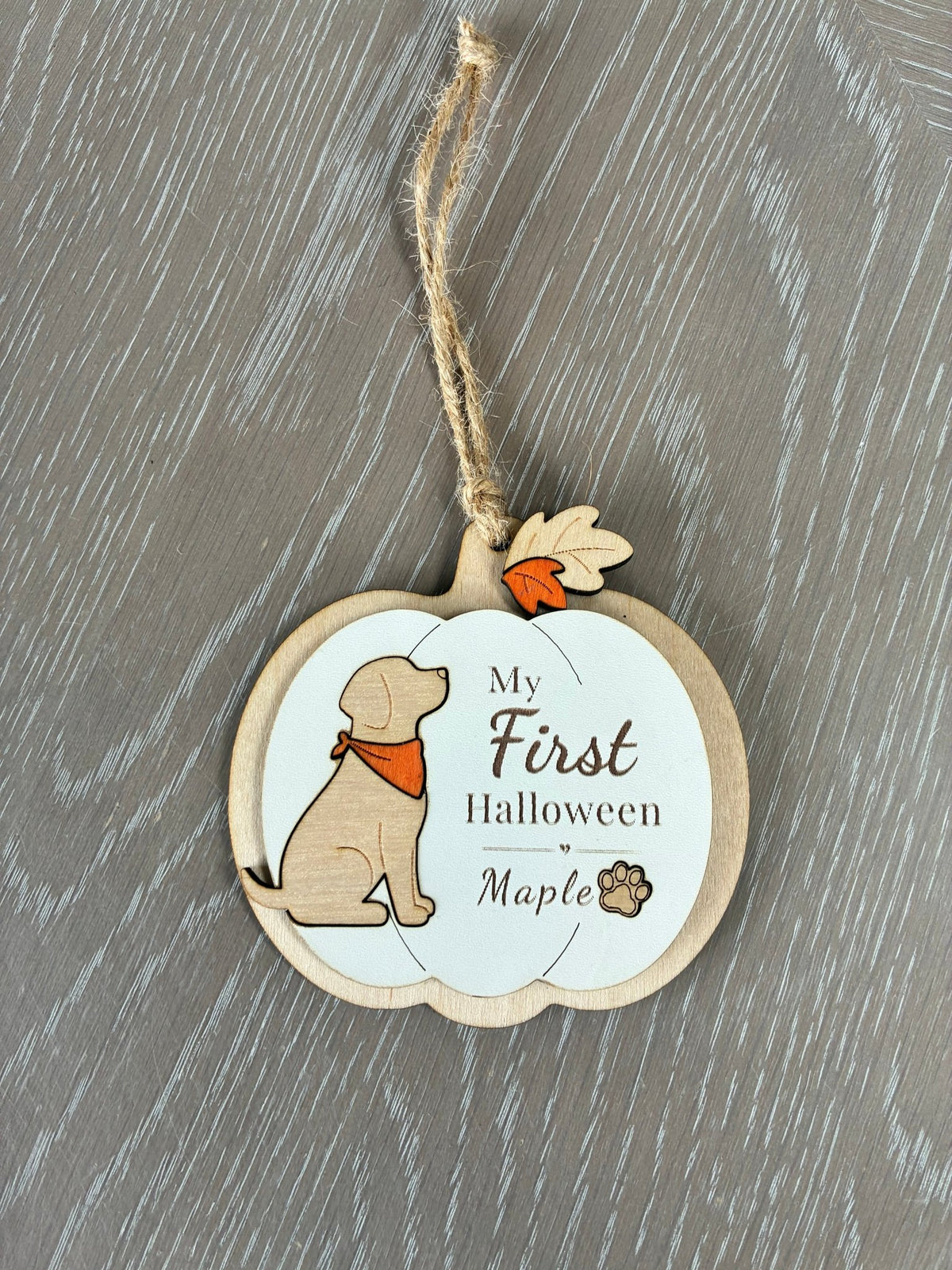 Personalised My First Halloween Dog Pumpkin Hanger - From The Workshop
