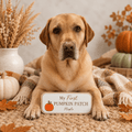 Personalised My First Pumpkin Patch Wooden Sign - From The Workshop